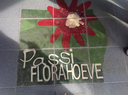 En toen door naar Harskamp: de Passi Florahoeve